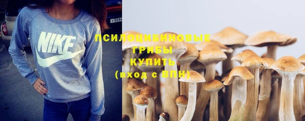 дмт Алзамай