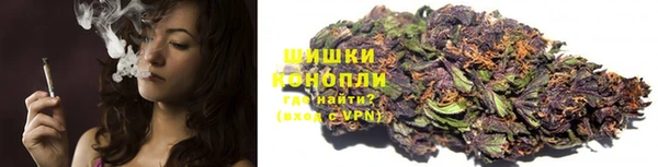 ГАЛЛЮЦИНОГЕННЫЕ ГРИБЫ Алексеевка