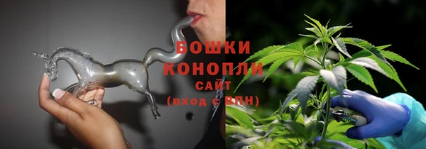 молекула духа Осинники
