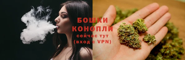 бошки Осташков