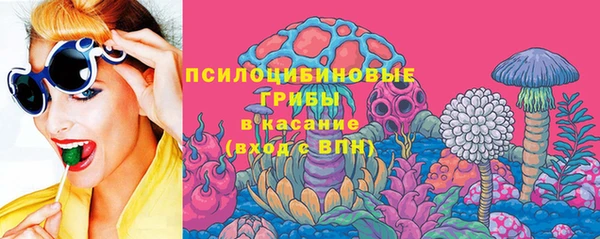 дмт Алзамай