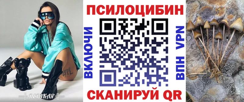 Псилоцибиновые грибы мицелий  блэк спрут tor  Петушки 